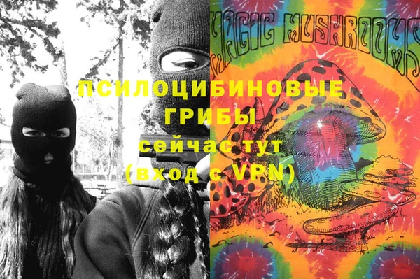 spice Няндома