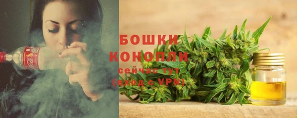 spice Няндома