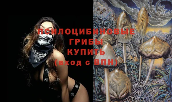 стафф Абаза