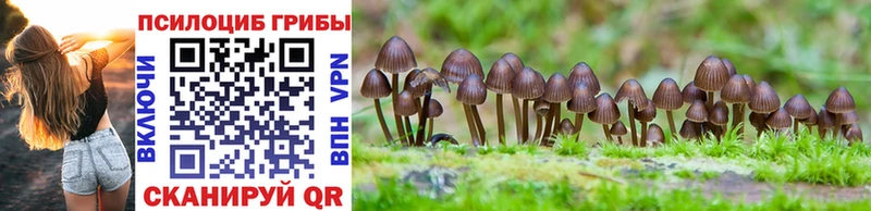 Галлюциногенные грибы GOLDEN TEACHER  Ртищево 